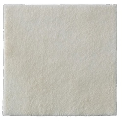 BIATAIN Alginate Ag Kompressen 15x15 cm mit Silber