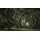 ARK Survivor Edition Xbox Ultimatim