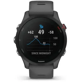 Garmin Forerunner 255 46 mm schiefergrau/schwarz