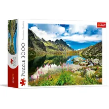 Trefl Ein See im Tatras Gebirge in der Slowakei (33031)