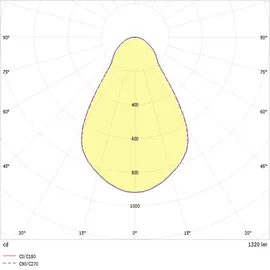RIDI Homelight ALBA R100E 1 Downlight