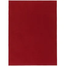 Snapstyle Kunstrasen Rasenteppich mit Noppen Kingston 200 x 500 cm Rot