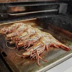 CHEFGASTRO BBQ Plancha | Einsatzpfanne für SANTOS E-Serie, Eden, Cairns und Hollywood | Edelstahl
