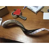 48,3 cm - 63,5 cm natürliches, authentisches Koscher-Yemenit-Kudu-Horn, Schofar, jüdisch, Israel