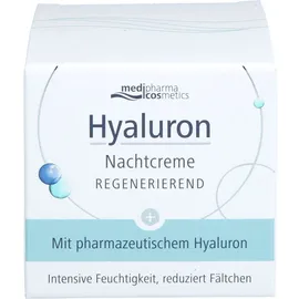 Dr. Theiss Naturwaren Hyaluron Nachtcreme regenerierend