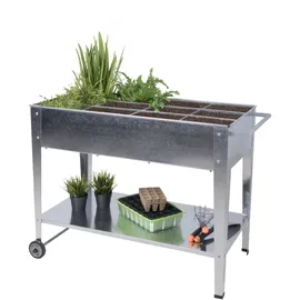 Garden Pleasure Mariegold 102 x 52 x 80 cm Silber