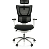 buerostuhl24 Luxus Chefsessel ERGOHUMAN SLIM Netzstoff mit Armlehnen (höhenverstellbar) hjh OFFICE