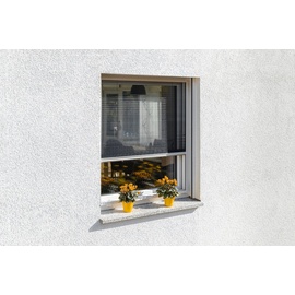 SCHELLENBERG Insektenschutz-Fenster-Plissee, 140 x 150 cm