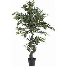 Europalms Ficus Waldbaum, 110cm