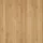 Homestyle4u Paravent Raumteiler in Braun 250x200 cm 302