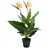 vidaXL Künstliche Strelitzia Reginae Paradiesvogelblume 66 cm