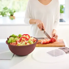 Rotho Set Schüssel Ø Deckel 8 l CARUBA, Farbe:Iron rot