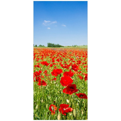 Wallario Türtapete Mohnblumenfeld- rote Blumen unter blauem Himmel, glatt, ohne Struktur