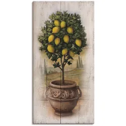Leinwandbild ARTLAND "Zitronenbaum mit Holzoptik", bunt (farbe bild(er): naturfarben), B:20cm H:40cm, Canvas, Leinwand, Bilder, auf Keilrahmen gespannt