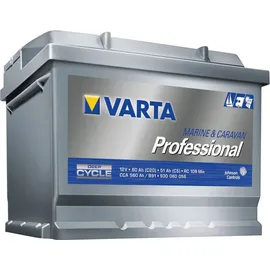 Varta Professional Dual Purpose EFB 95Ah 12V
