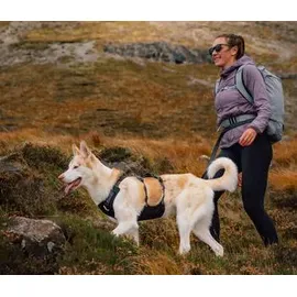 Ruffwear Ridgeline Hundegeschirr Schwarz L/XL