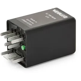 METZGER Relais, Glühanlage