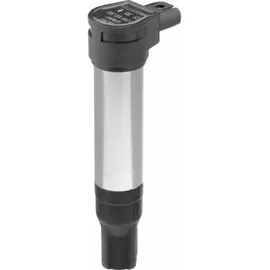 BorgWarner (Beru) (BERU) Zündspule