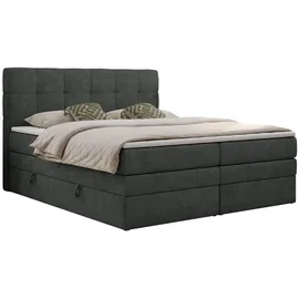 MKS Boxspringbett mit Bettkasten - grau ¦ Maße (cm): B: 160 H: 110