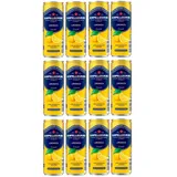 Sanpellegrino Naturali Limonata 0,33L Dose