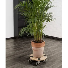 Meister Craft Pflanzenroller Ø 350 mm