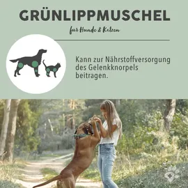 Paws & Patch Grünlippmuschel Pulver 150 g