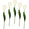 Kunstblume »Real Touch Tulpen«, 5er Set künstliche Tulpenknospen, Kunstblumen, Stielblume, weiß