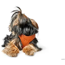 Hunter Geschirr Hilo XS-S orange