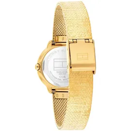 Tommy Hilfiger Demi 1782811 - gold