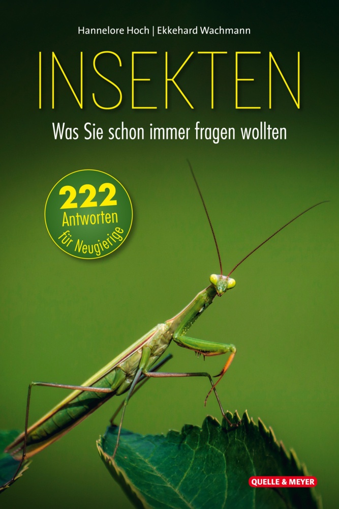 Insekten - Was Sie Schon Immer Fragen Wollten - Hannelore Hoch  Ekkehard Wachmann  Gebunden