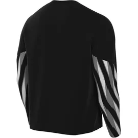 Nike Park V Torwarttrikot Langarm schwarz F010