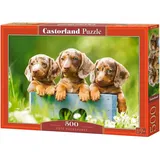 Castorland 500 Piece Jigsaw Puzzles, Cute Dachshunds, Animal Puzzle, Dogs, Puppies, Adult Puzzle, Castorland B-53605