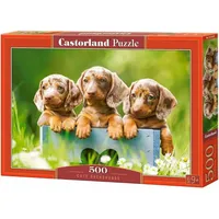 Castorland 500 Piece Jigsaw Puzzles, Cute Dachshunds, Animal Puzzle, Dogs, Puppies, Adult Puzzle, Castorland B-53605