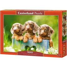 Castorland 500 Piece Jigsaw Puzzles, Cute Dachshunds, Animal Puzzle, Dogs, Puppies, Adult Puzzle, Castorland B-53605