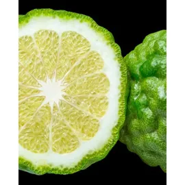 YODEYMA Tendenze Eau de Parfum 50 ml