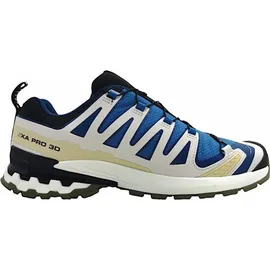 Salomon XA Pro 3D V9 GTX Herren Dark Blue/Icicle/Aloe 40 2/3