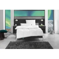 fan Daunendecke Island« medium / Biobasiert, 200 x 220 cm