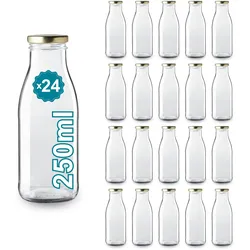 Espírito rebelde 24 leeren Glasflaschen à 250 ml mit Deckel - Glasflaschen für Saft, Milch, Grillen, Saucen