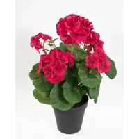 Seidenblumen Roß Künstliche Geranie im Topf 34cm LM Kunstblumen