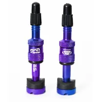 E*thirteen Quick Fill Tubeless Ventile 23-30 mm blau