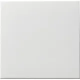 Gira Wippschalter 091627