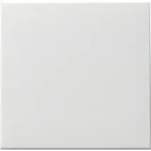 Gira Wippschalter 091627