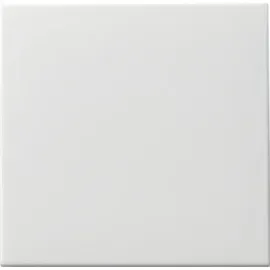 Gira Wippschalter 091627