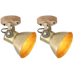 vidaXL Wand-/Deckenlampen Industriestil 2 Stk. Messing 20x25 cm E27