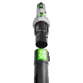 EGO LB5301E Akku-Laubbläser inkl. 1 x 2,5 Ah + Ladegerät