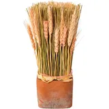 creativ home Trockenblume CREATIV HOME "Trockenblumen imTopf", rosa, B:10cm H:30cm, Kunstpflanzen