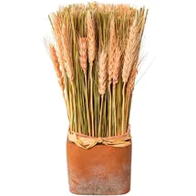 creativ home Trockenblume CREATIV HOME "Trockenblumen imTopf", rosa, B:10cm H:30cm, Kunstpflanzen