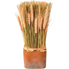 creativ home Trockenblume CREATIV HOME "Trockenblumen imTopf", rosa, B:10cm H:30cm, Kunstpflanzen