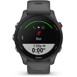 Garmin Forerunner 255 46 mm schiefergrau/schwarz