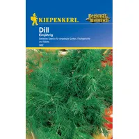 Kiepenkerl 562 Dill Einjährig Dillsamen